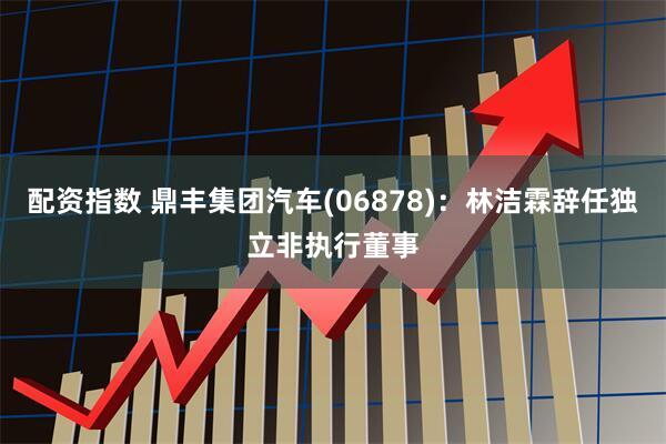 配资指数 鼎丰集团汽车(06878)：林洁霖辞任独立非执行董事
