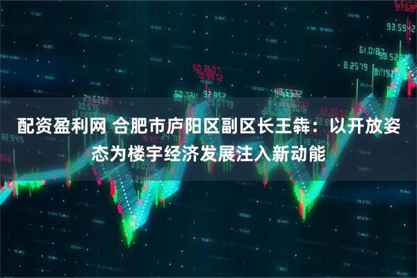 配资盈利网 合肥市庐阳区副区长王犇：以开放姿态为楼宇经济发展注入新动能