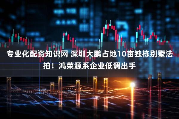 专业化配资知识网 深圳大鹏占地10亩独栋别墅法拍！鸿荣源系企业低调出手